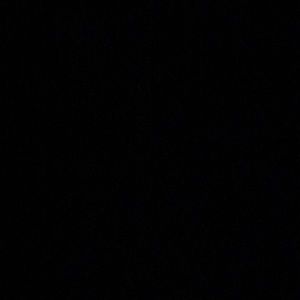 Meet your Posher, Peter